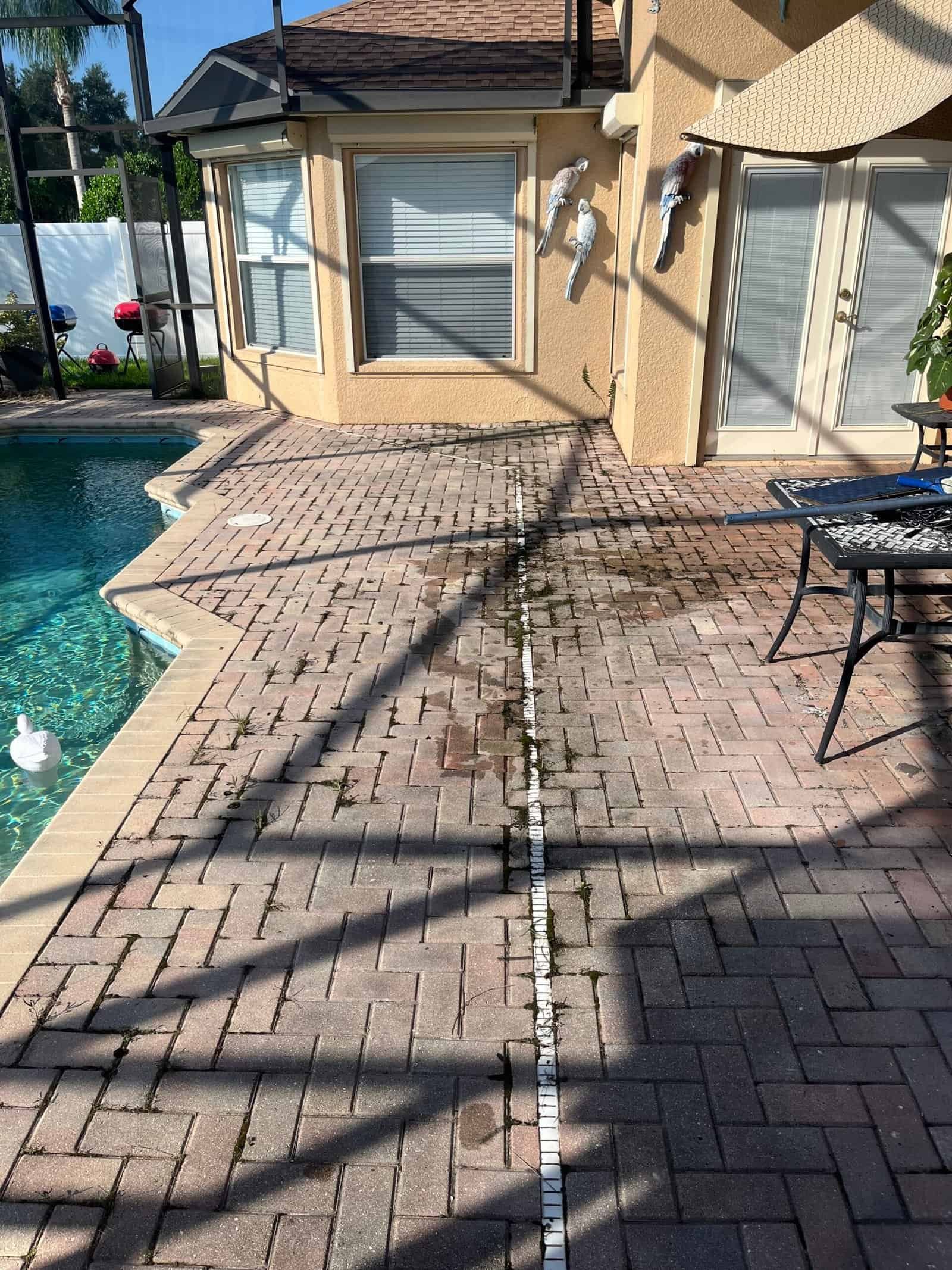Before pool patio cleaning in St Cloud FL – dirty deck with algae and stains, serviced by Baha Softwash.