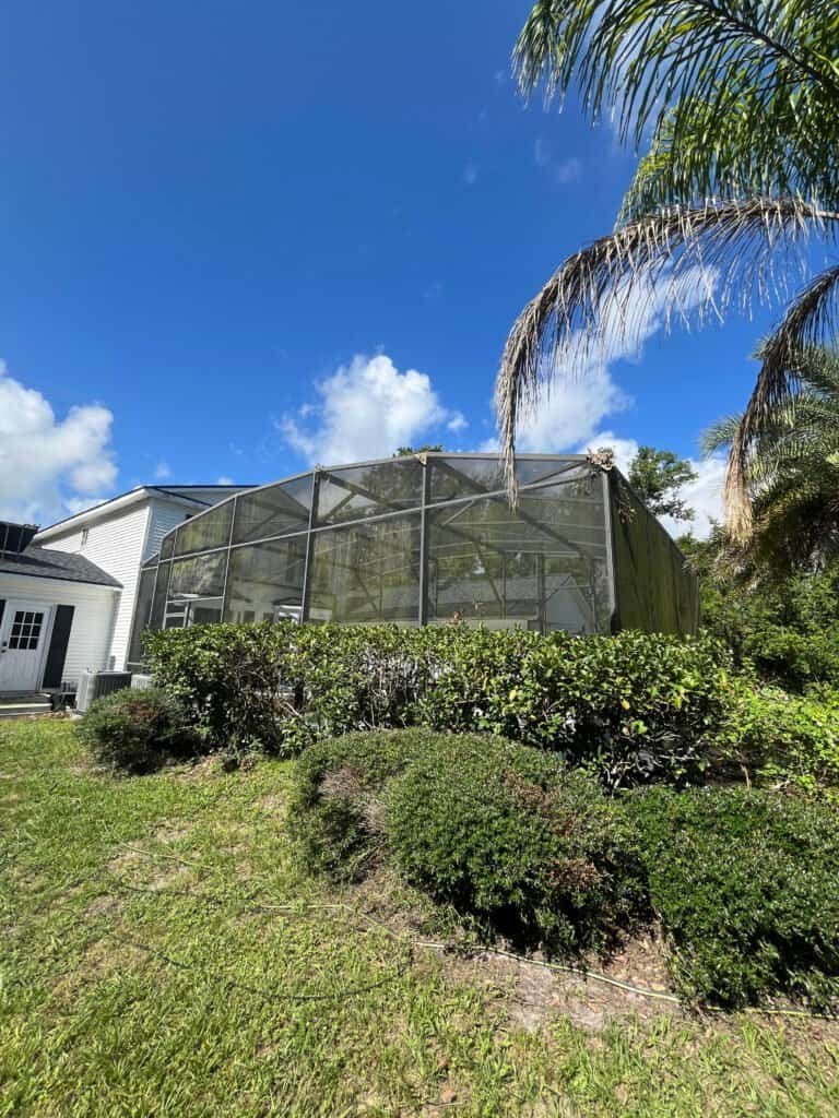 Dirty pool enclosure screen in St Cloud FL – algae and grime before Baha Softwash cleaning.