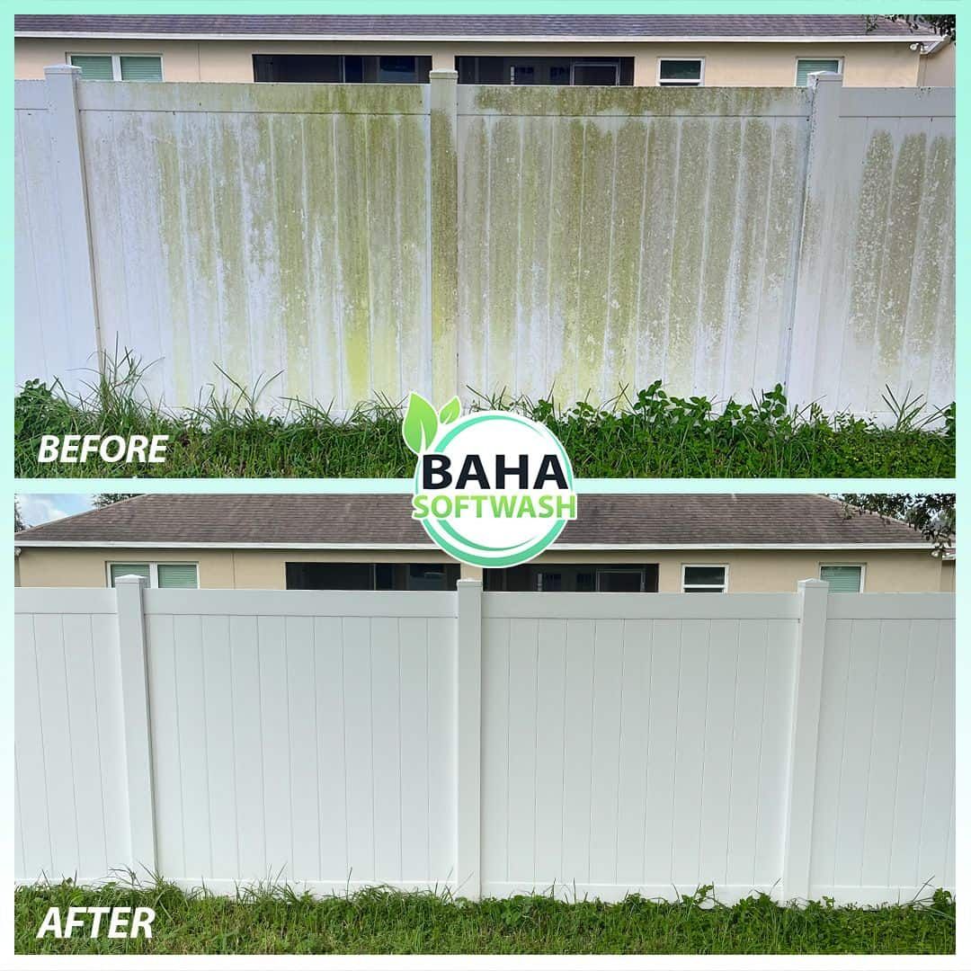 Fence algae removal and soft washing in St. Cloud Florida