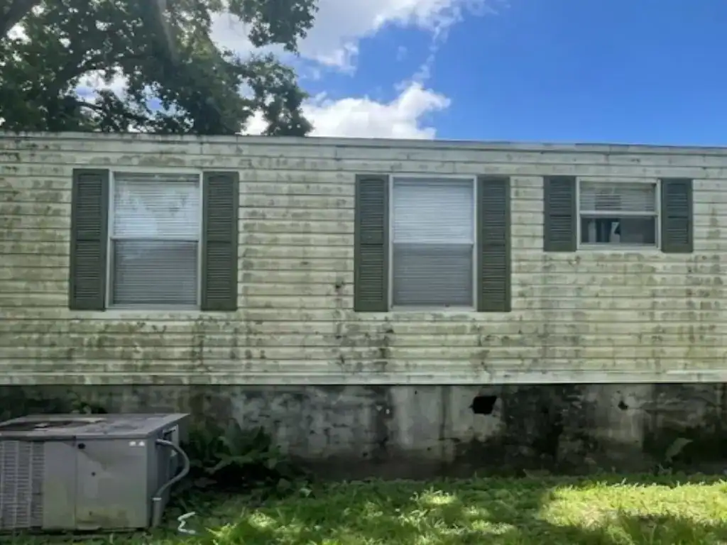 Before roof cleaning — black streaks and algae visible