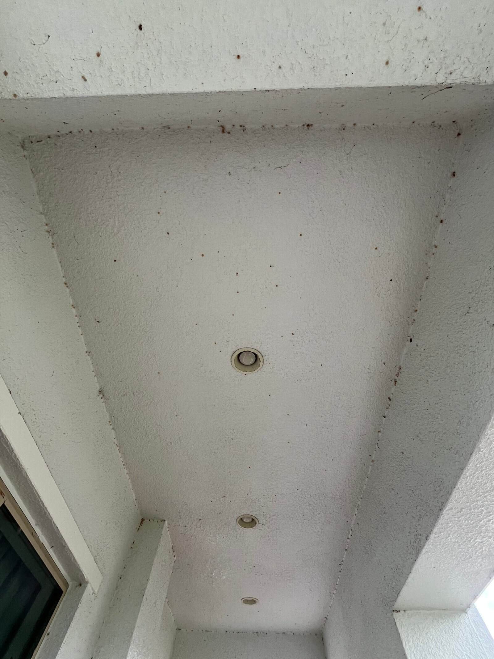 Front porch ceiling before house washing in Twin Lakes, St. Cloud FL — heavy spider webs, egg sacs and dark spots across white stucco