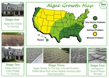 Baha softwash algae growth map_ soft washing near me