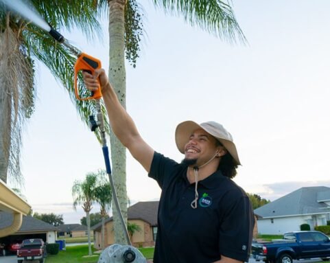 roof-washing-near-me roof cleaning near me