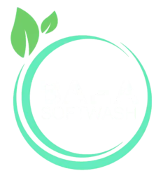 pressure-washing pressure washing