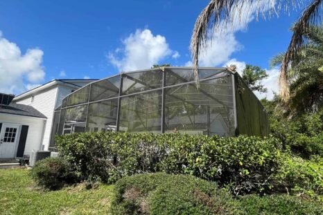 screen 2 Dirty pool enclosure screen in St Cloud FL – algae and grime before Baha Softwash cleaning.